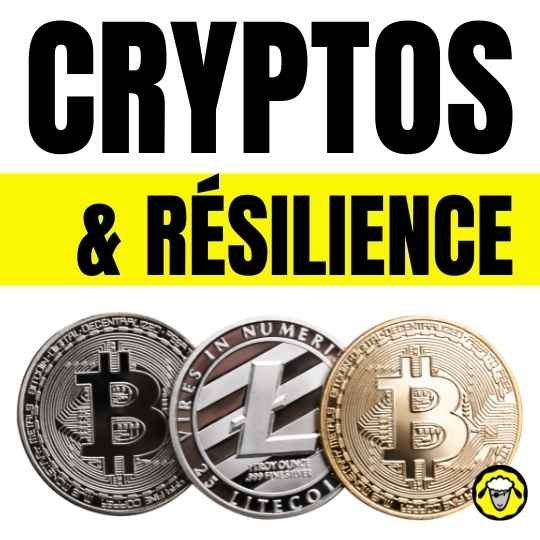 Que deviennent les crypto monnaies en cas de crise financière : analyse de leur résilience et perspectives d’avenir